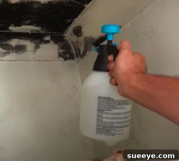 Conquering Mold: Your Guide to Permanent Removal 3 Comparison of Bleach Vs Vinegar Effectiveness for Home Mold Removal