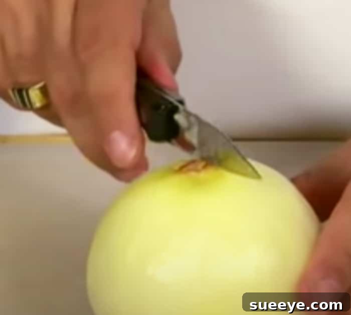Learn how to cut onion without crying - Tips and Tricks on How To Cut Onions - Correct Ways To cut Onions
