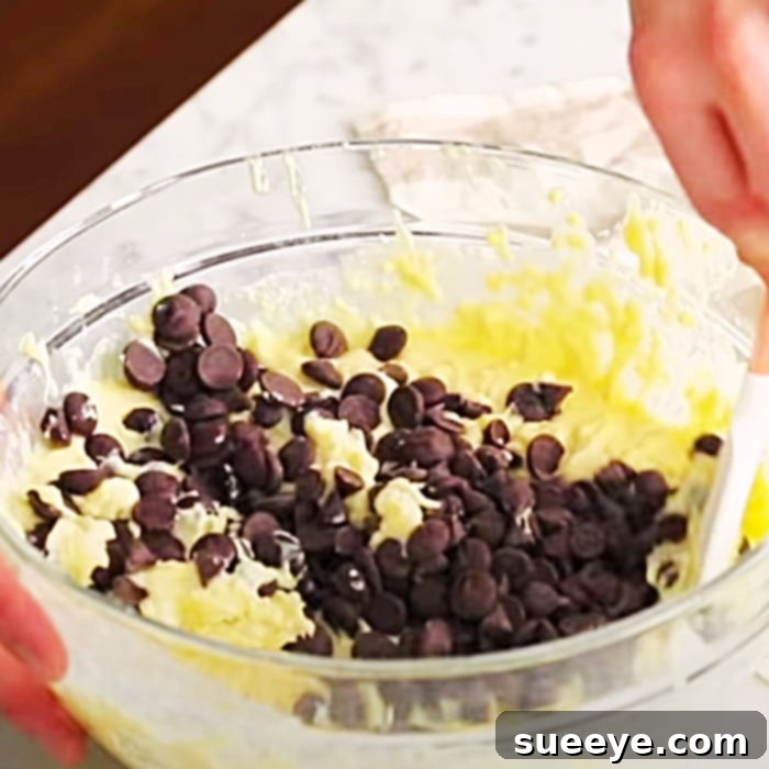 Ultimate Chocolate Chip Muffins 2 Easy Muffin Ideas - Homemade Muffin Recipe - Chocolate Chip Ideas