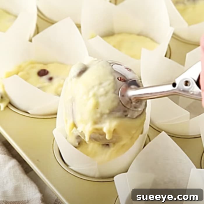 Ultimate Chocolate Chip Muffins 3 Easy Muffin Recipe Ideas - Chocolate Chip Muffin Recipe - Chocolate Muffins Recipe