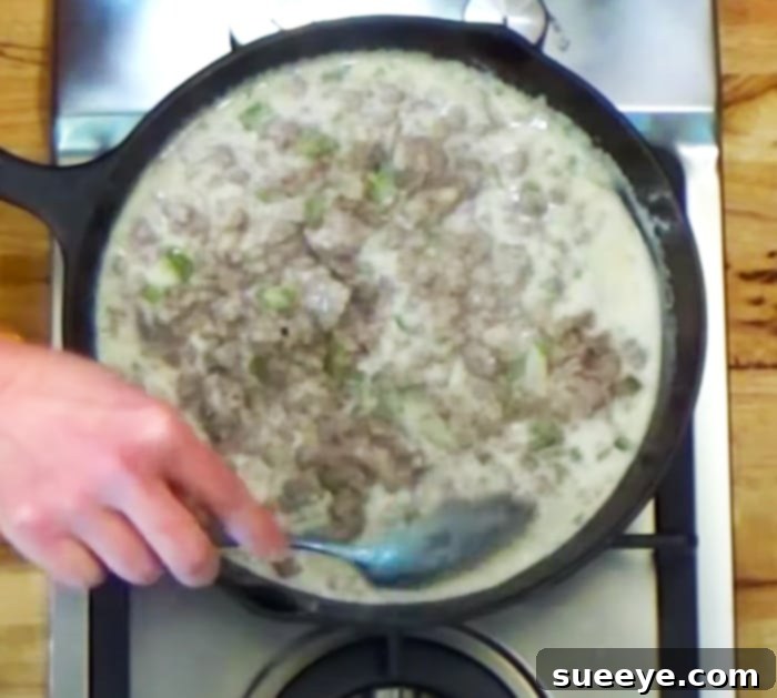 Creamy Ground Beef Stroganoff 3 Struggle Food Recipes - Cheap Food Recipes - Ground Beef Dinner Recipes - Creamy Pasta Sauce Recipes