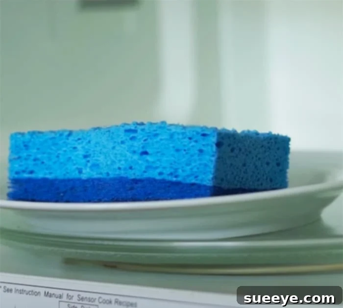 Banish Sponge Bacteria in 2 Minutes 2 Sanitize your sponge in 2 minutes or less - Microwave Sponge to clean - Kitchen Cleaning Hacks