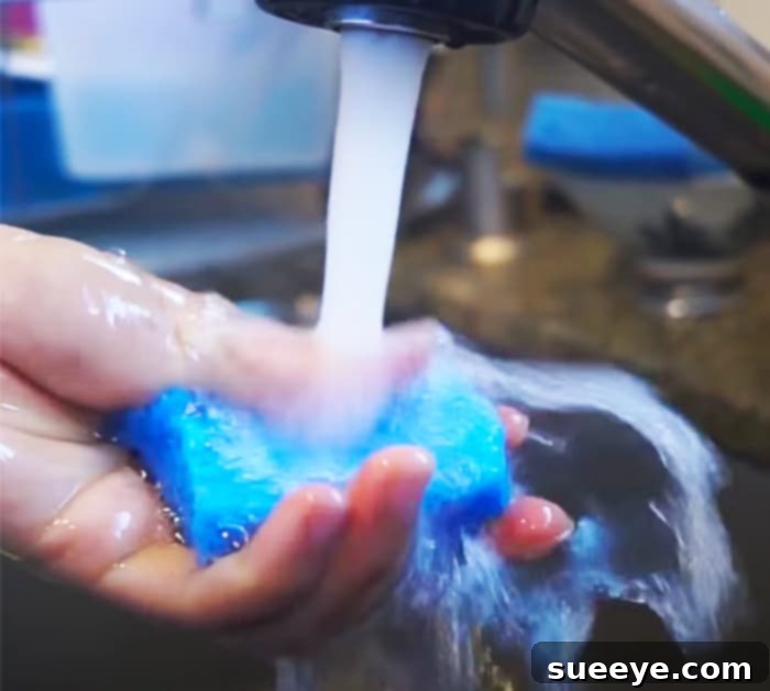 Banish Sponge Bacteria in 2 Minutes 3 2 Minute Cleaning - How To Clean Sponges - Long Lasting sponge hack