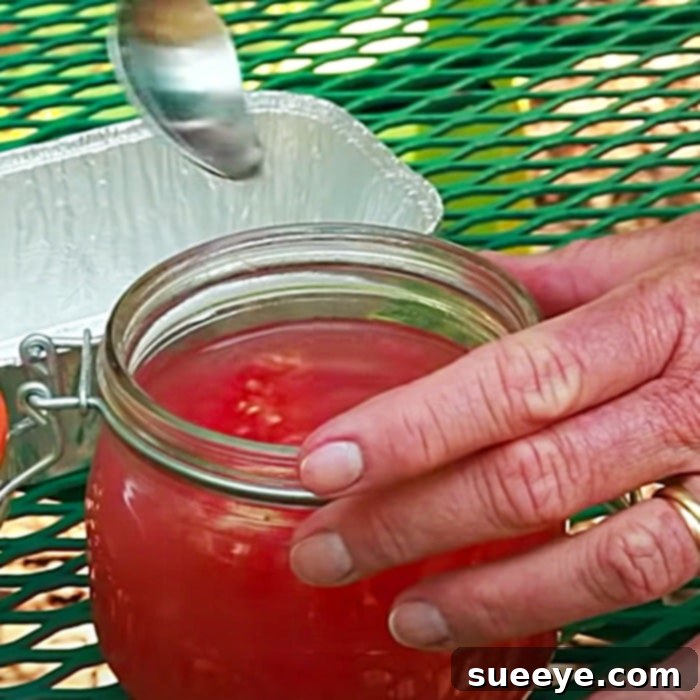 Future Harvests: Master Seed Saving at Home 2 How To Harvest Tomato Seeds - Gardening Ideas - Grow A Food Garden