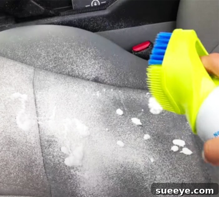 Use Oxi Clean To Remove Stains on Car Seats - Car Seat Stain Removal - DIY Stains on Car Seats