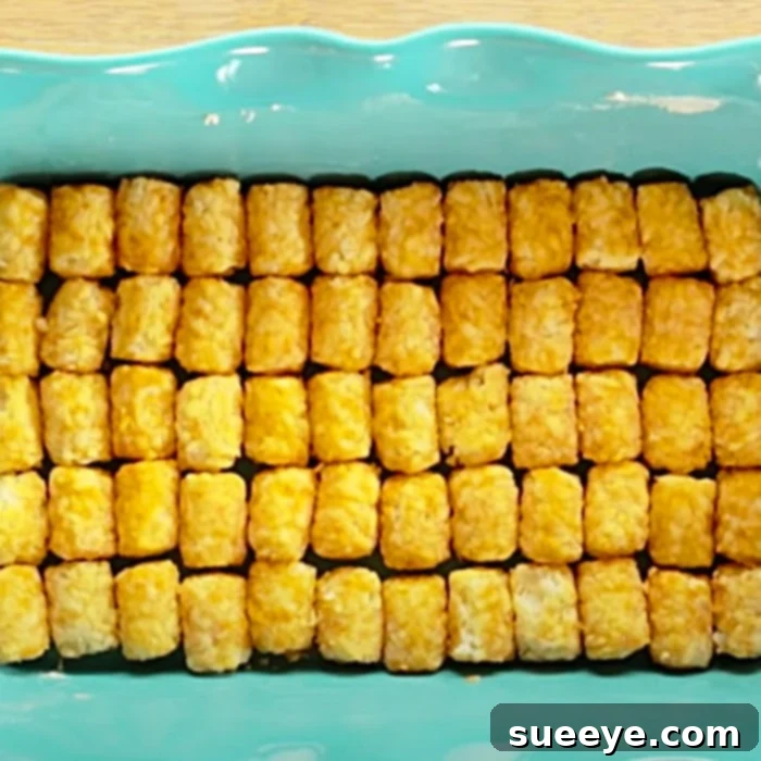 Pioneer Woman Ultimate Tater Tot Casserole 2 Pioneer Woman Tater Tot Casserole Recipe - One Pan Meal Ideas - Easy Cheap Casserole - Ground Beef Ideas - Hearty Family Dinner Prep