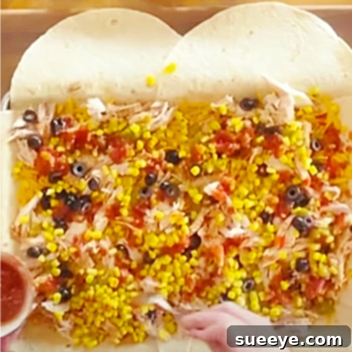 Sheet Pan Chicken Quesadillas Recipe - How To Make Quesadillas - Easy Dinner Ideas. A vibrant sheet pan filled with golden-brown chicken quesadilla slices, ready to be served.