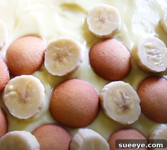 Heavenly Banana Pudding Cake 3 How To Make Banana Pudding Cake Recipe - Banana Cake Recipes - Vanilla Wafer Cake Recipes