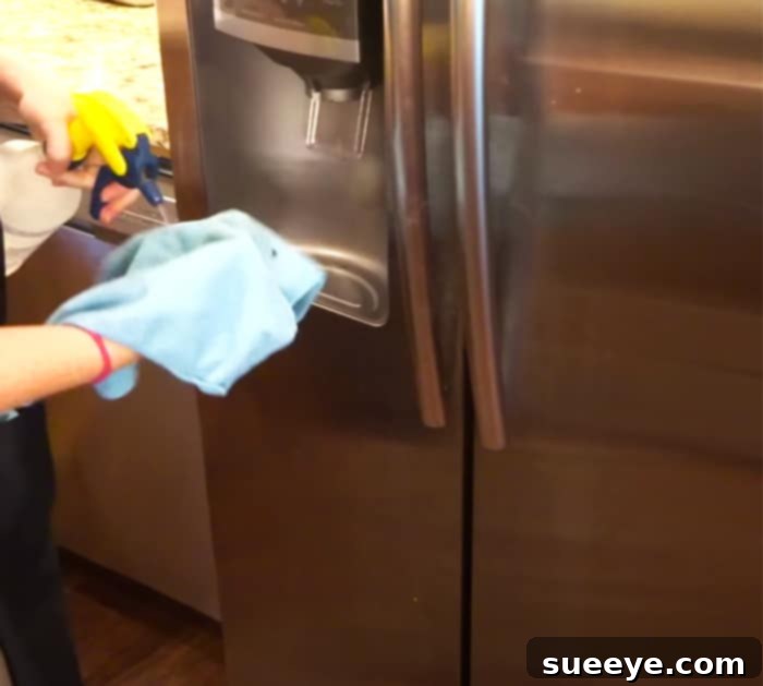 Flawless Stainless Steel: No More Fridge Streaks 2 How To Clean Stainless Steel Refrigerator - Kitchen Cleaning Tips and Tricks