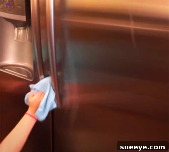Flawless Stainless Steel: No More Fridge Streaks 3 Easy Stainless Steel Cleaning - Streak Free Refrigerator Cleaning