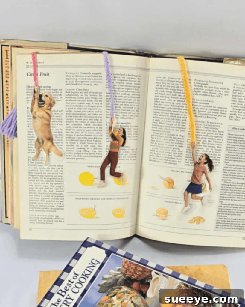 Make Unique Gift for Book Lovers