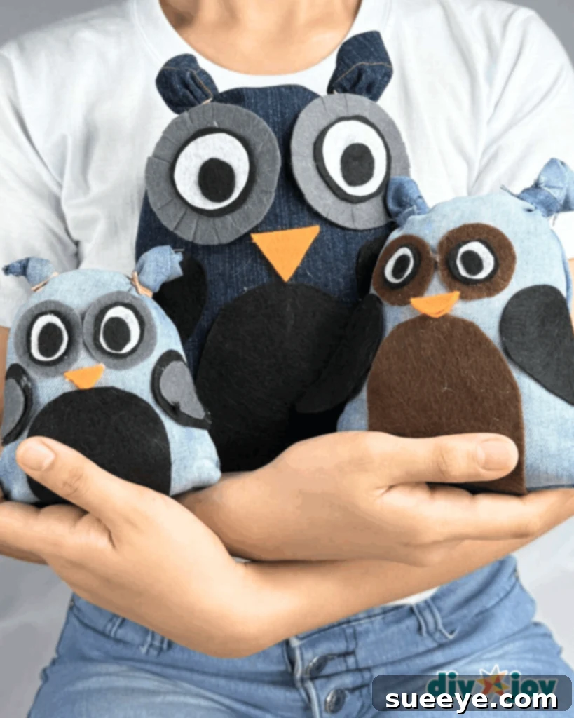 Easy DIY Denim Owl for Beginners