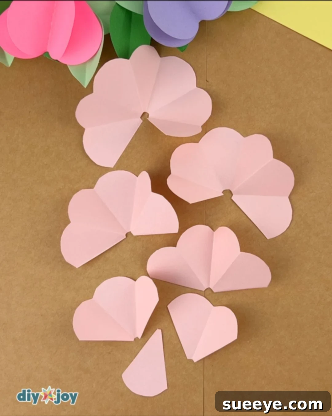 Image illustrating the different petal arrangements after cutting.